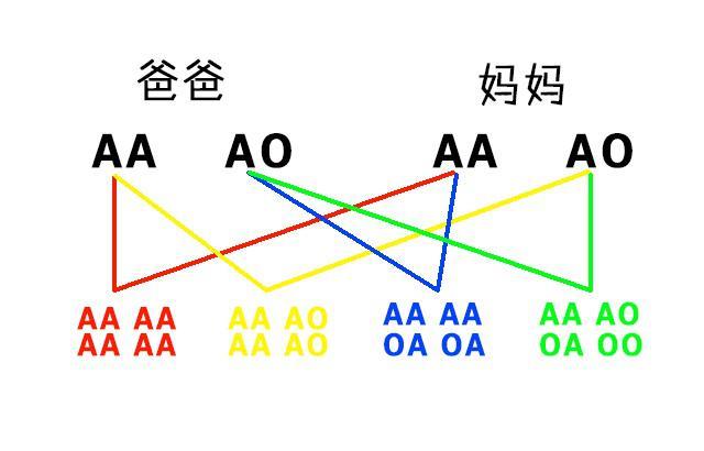 两个O型血为什么会生出RH