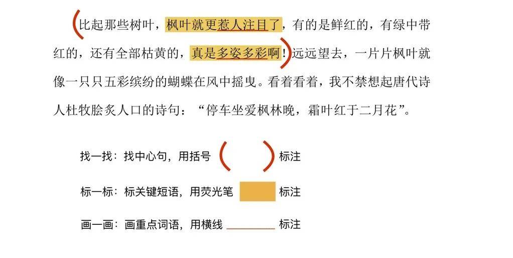 ABO溶血，深入了解其含义、原因与影响,可靠性策略解析_储蓄版78.91.78