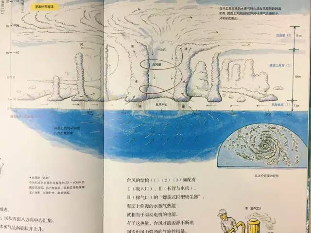 河畔放生大米，两位老人的故事与小说,科学分析解析说明_专业版97.26.92