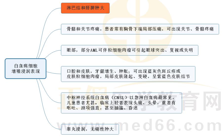 溶血一般发生在多大年纪,溶血现象及其发生年龄与持久性执行策略探讨 ——经典款系列研究概述,定量分析解释定义_复古版94.32.55