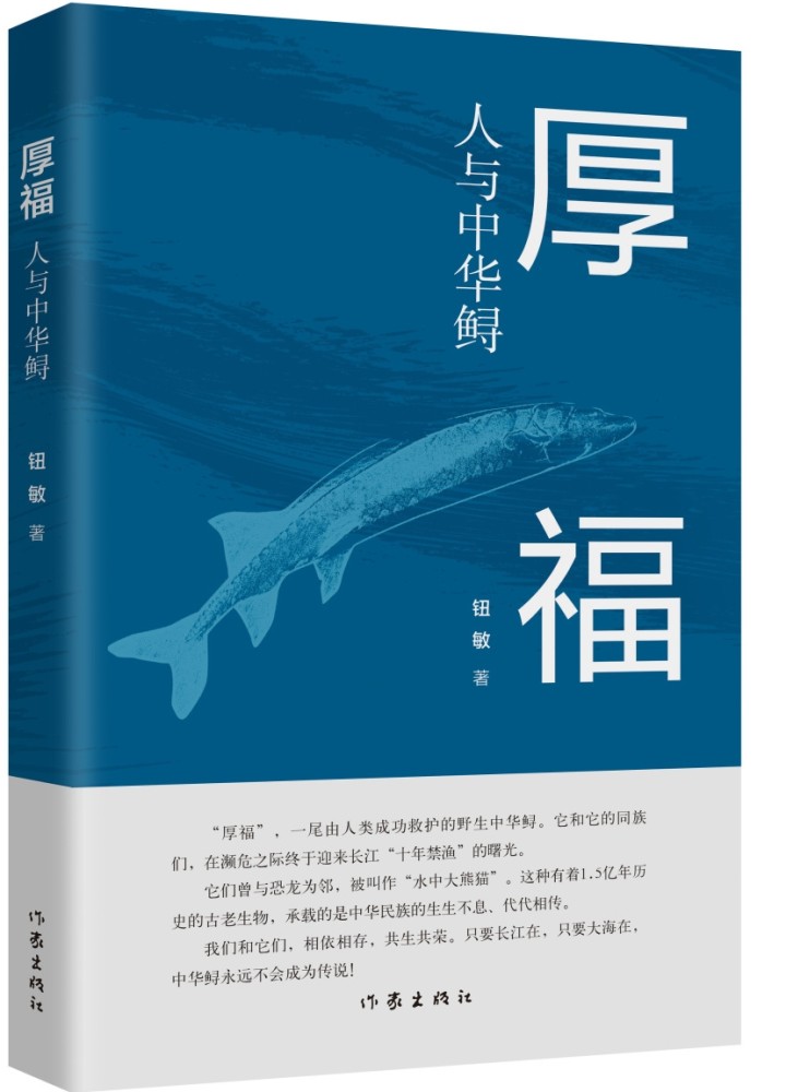 深圳为背景的小说,深圳为背景的小说与专家意见解析,高速响应策略_粉丝版37.92.20