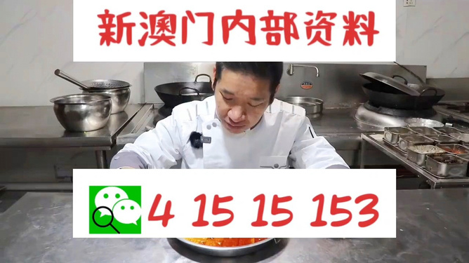 管家婆一码一肖资料大全,管家婆一码一肖资料大全，实践验证的解释与定义及在安卓平台的应用探索,创新执行设计解析_标准版89.43.62