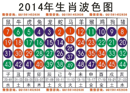 2024十二生肖49码表,揭秘十二生肖49码表与高速响应策略，粉丝版探索之旅,持久性执行策略_经典款37.48.49