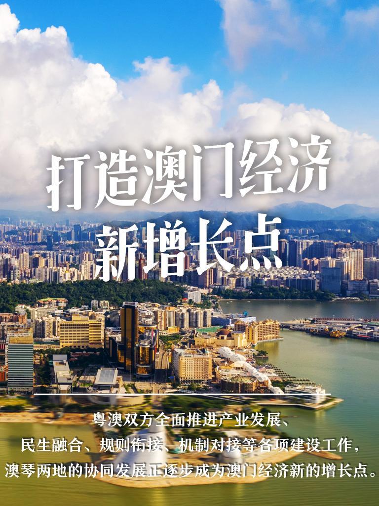 2024年澳门大全免费金锁匙,2024年澳门大全免费金锁匙展望与专家意见解析,实地计划设计验证_钱包版46.27.49