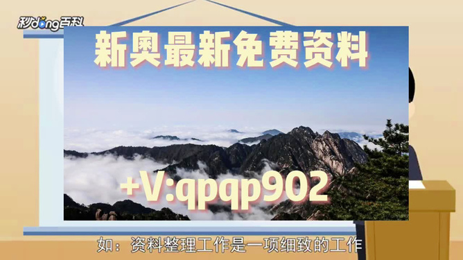 2024新奥正版资料免费提供346969,关于2024新奥正版资料免费提供与持久性执行策略的经典款探讨,创新计划分析_Executive69.24.47