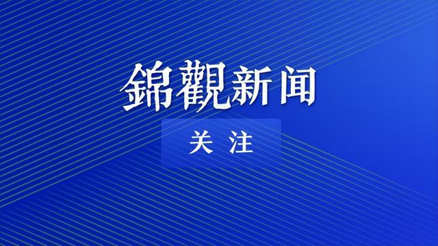 2024香港资料大全正新版,探索未来的香港，专家解读与资料大全正新版概览,效率资料解释定义_Elite51.62.94