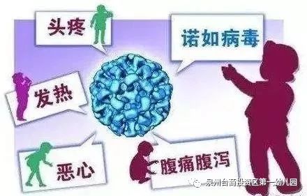 什么是诺如病毒的症状和治疗方法