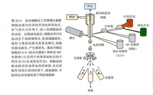 刀具预调仪的工作原理