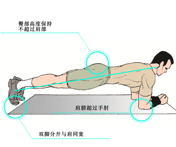 屈臂支撑标准动作,屈臂支撑标准动作与科学研究解析说明——基于AP92.61.27的研究报告,定量分析解释定义_复古版94.32.55