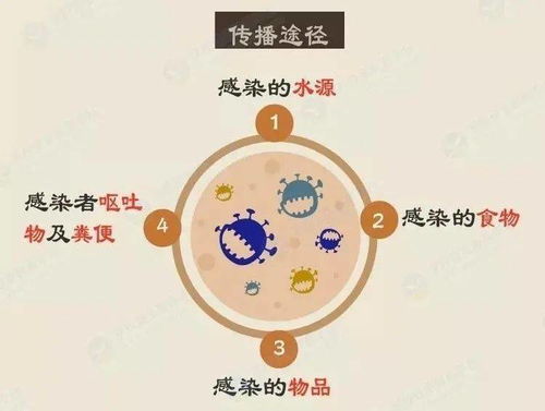 官方回应多名学生感染病毒腹泻