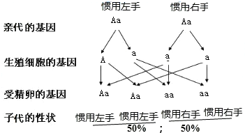 澳门玉兔论证的亮点和问题分析