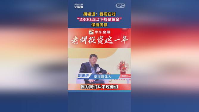 胡锡进与你聊聊2024