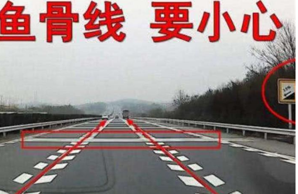 道路立杆上摄像头密集？交警通报