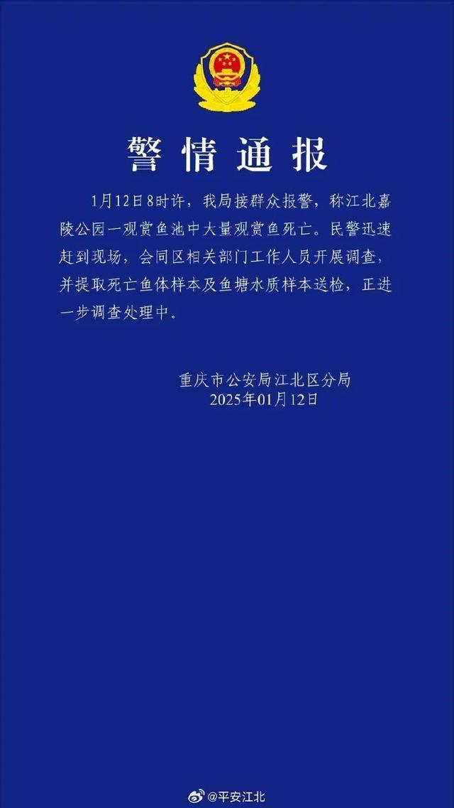 观音桥死亡锦鲤装满三十多个编织袋