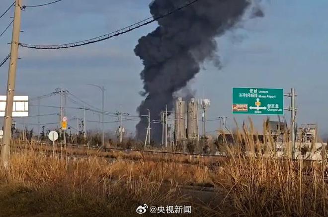 韩国起火客机疑撞鸟后撞围栏